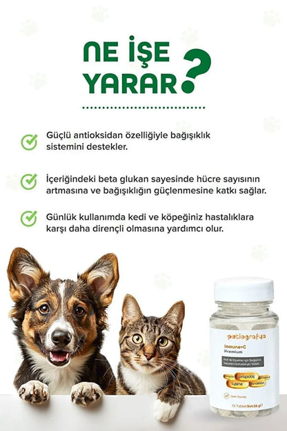 Premium Immune C Kedi Ve Köpek Için Bağışıklık Sistemini Destekleyen Tablet