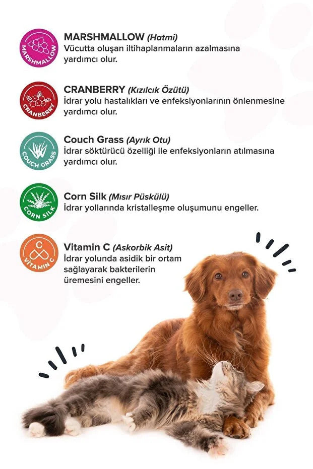 Premium Urinary+D Kediler ve Köpekler İçin Üriner Sistemi Destekleyici Tablet