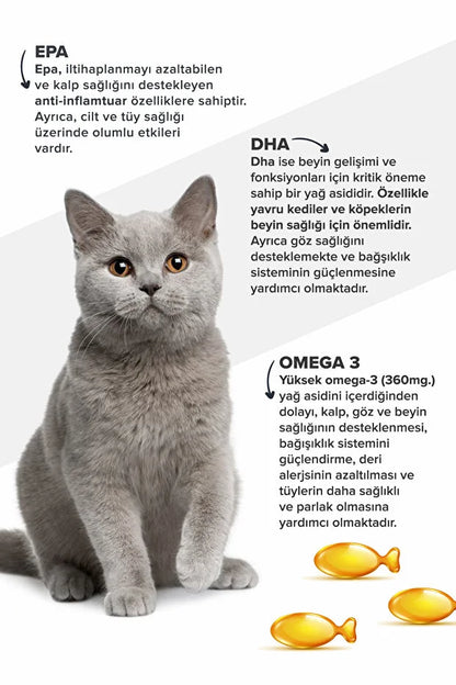 Premium Kedi Ve Köpek Için Omega 3 Ve 6 Içerikli Balık Yağı- Bağışıklık Sistemi Tüy Bakımı