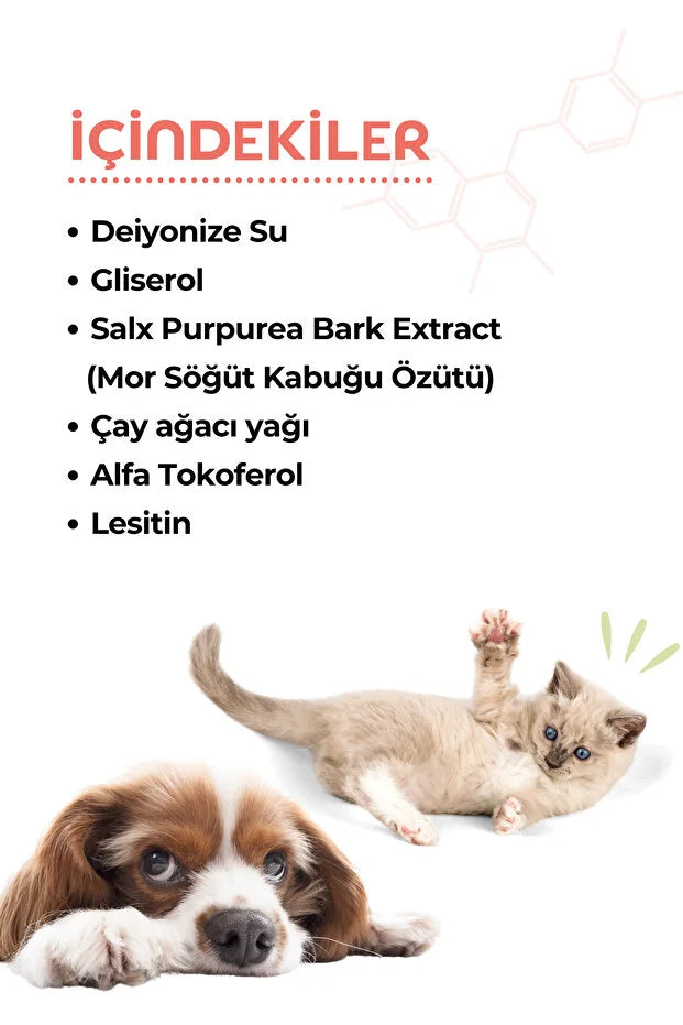 Kedi ve Köpek Göz Temizleme Jeli, Göz Sağlığı Enfeksiyonu Çapaklanma