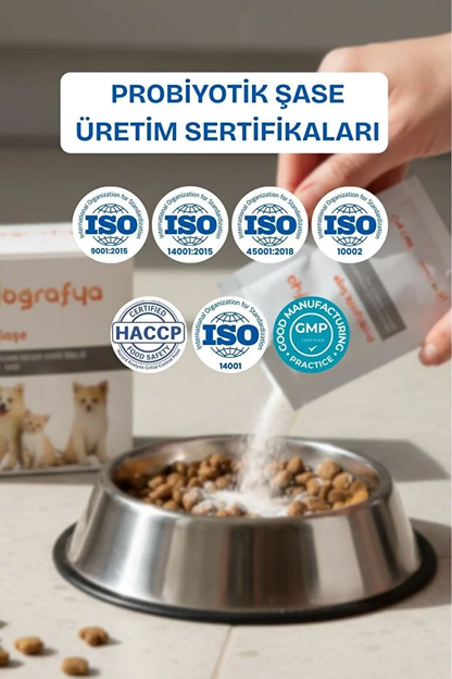 Kedi ve Köpekler için Probiyotik Şase