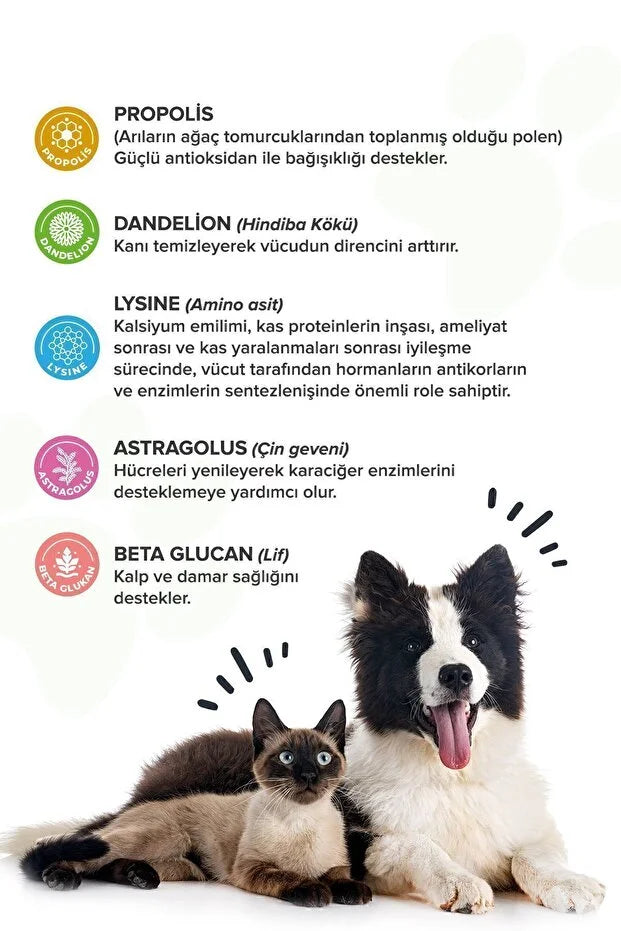 Premium Immune C Kedi Ve Köpek Için Bağışıklık Sistemini Destekleyen Tablet