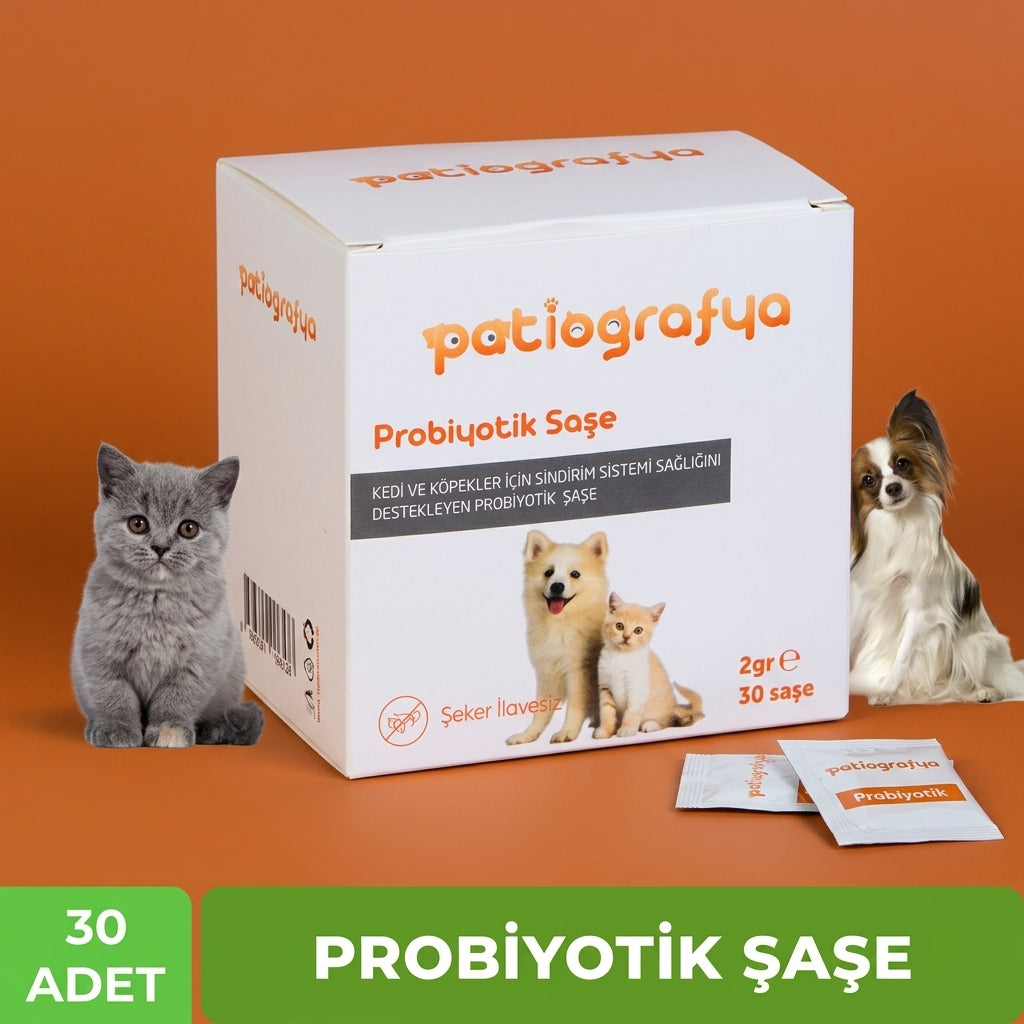 Kedi ve Köpekler için Probiyotik Şase