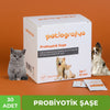 Kedi ve Köpekler için Probiyotik Şase