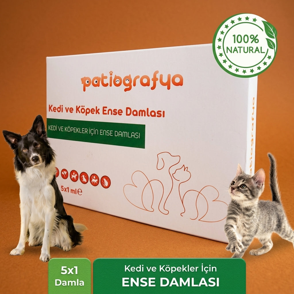 Kedi ve Köpek Ense Damlası
